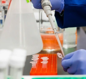 Was sind Anti-Nephrin-Antikörper und welche Rolle spielen sie bei chronischen Nierenerkrankungen?