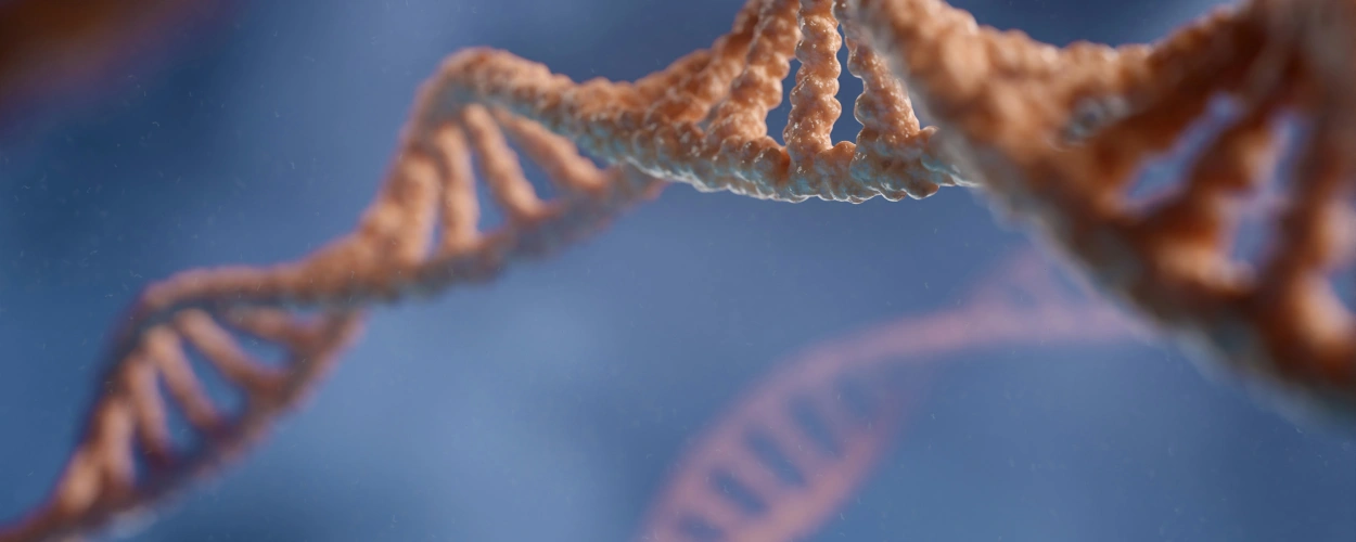 Angeborene Formen der Minimal Change Disease (MCD)